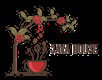 Java House
